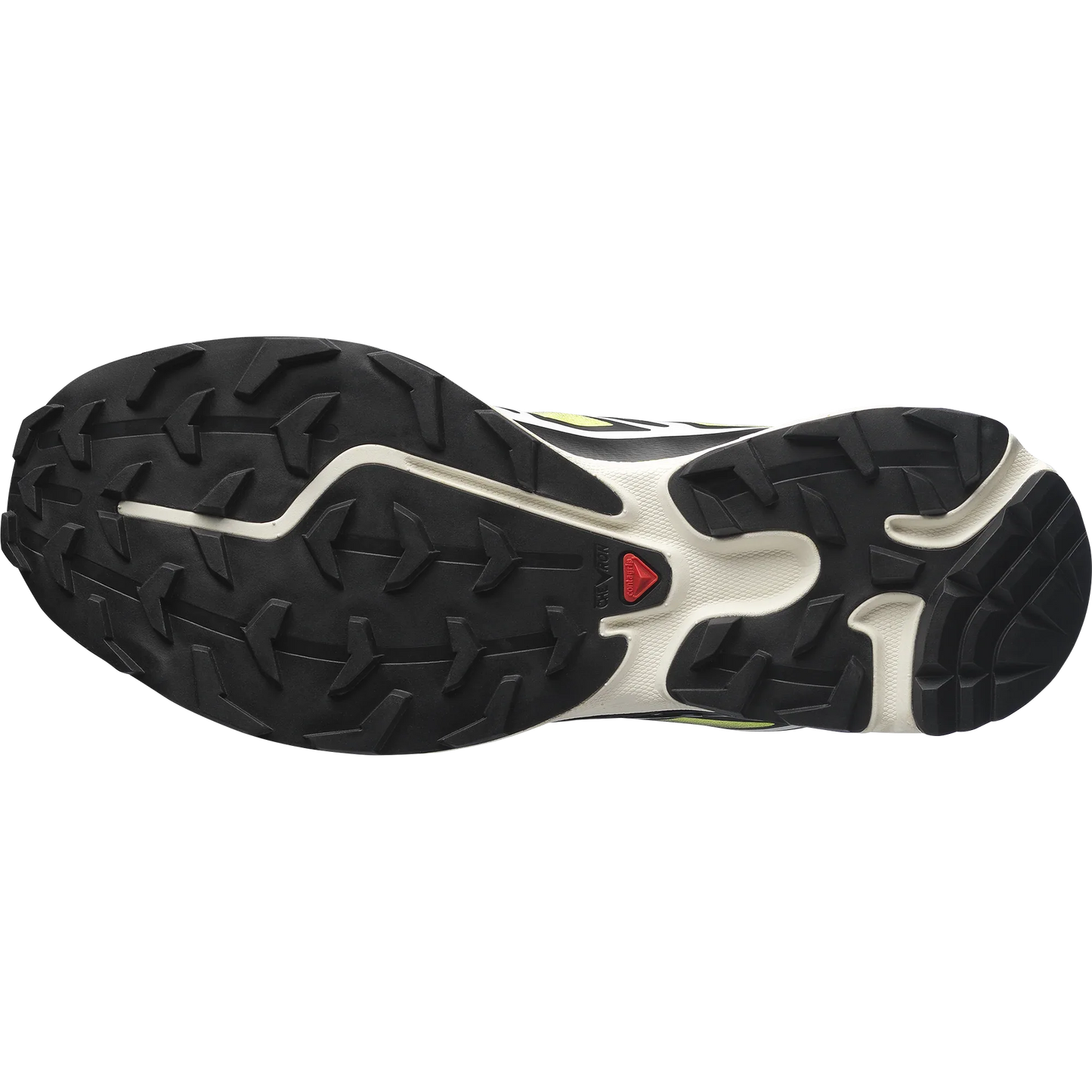 XT-6 SKYLINE - Chillpaw
