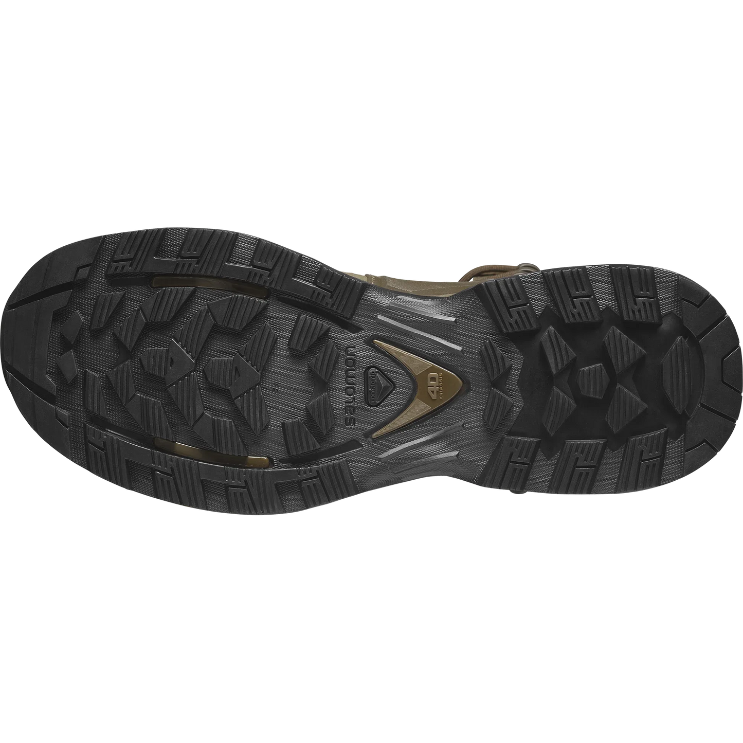 QUEST 4D FORCES 2 HIGH GORE-TEX EN - Chillpaw