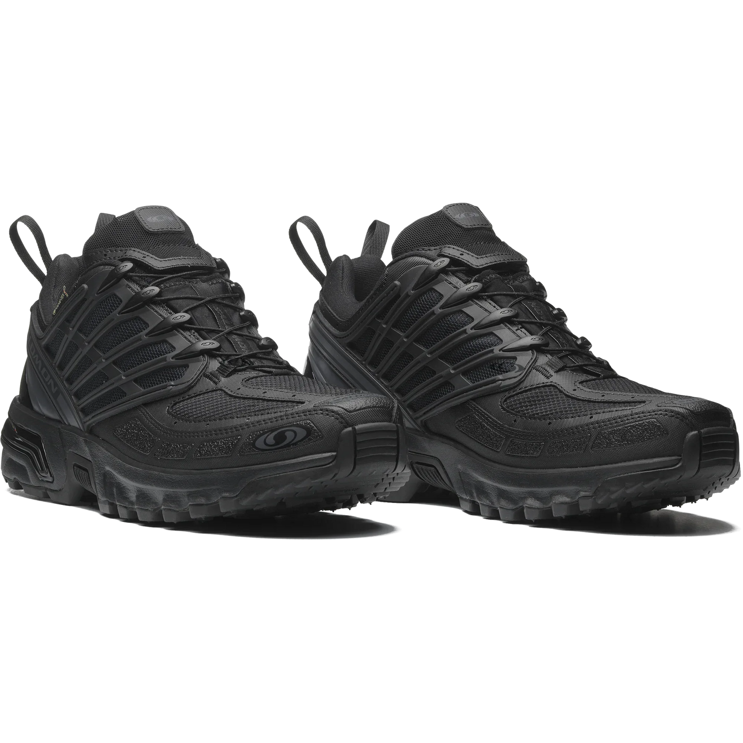 ACS PRO GORE-TEX - Chillpaw