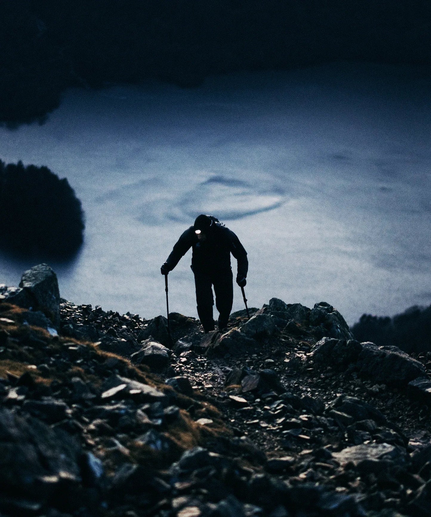 S/LAB GENESIS SPINE - Chillpaw